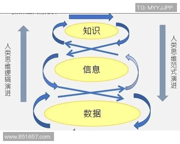 深入探讨深圳篮球队的力量表现与数据分析的关联性与影响因素