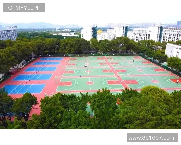 篮球新手必看：从零基础到场上高手的全面入门攻略